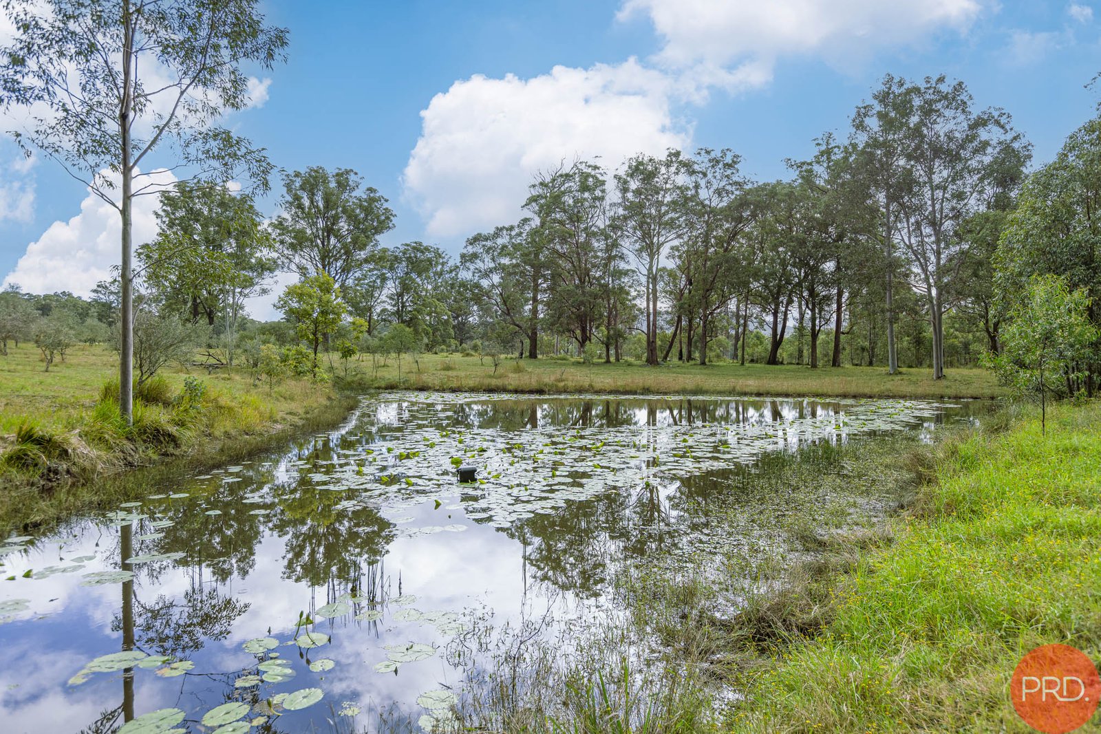 124a Duns Creek Road DUNS CREEK 13