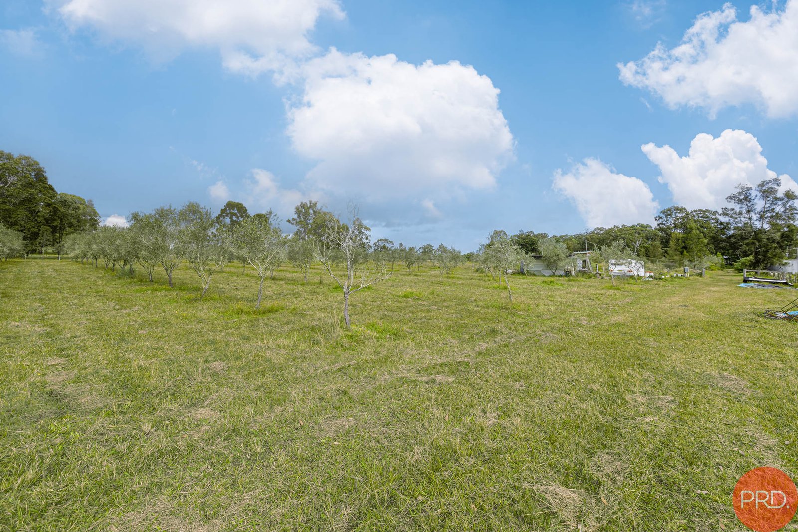 124a Duns Creek Road DUNS CREEK 14