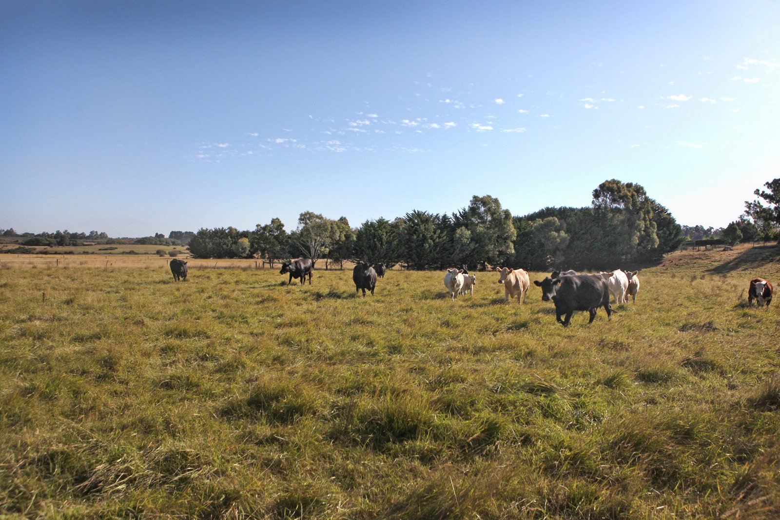 Real Estate and Property in 125 Cemetery Road, Tylden, VIC