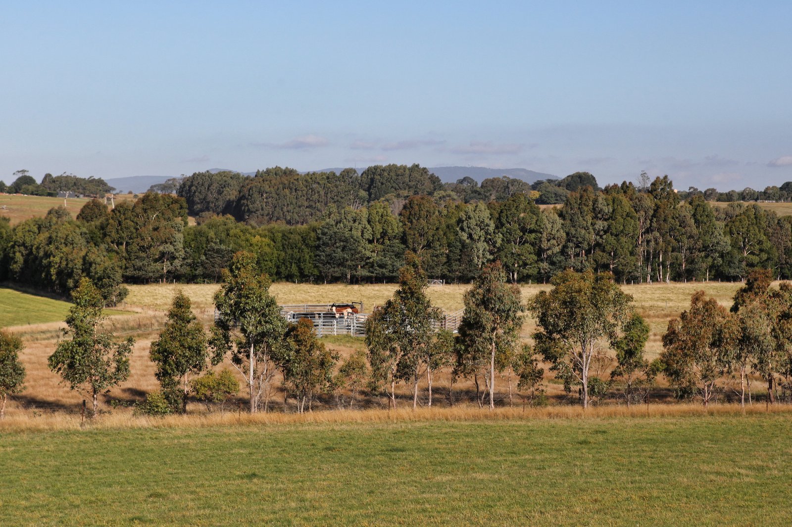 Real Estate and Property in 125 Cemetery Road, Tylden, VIC