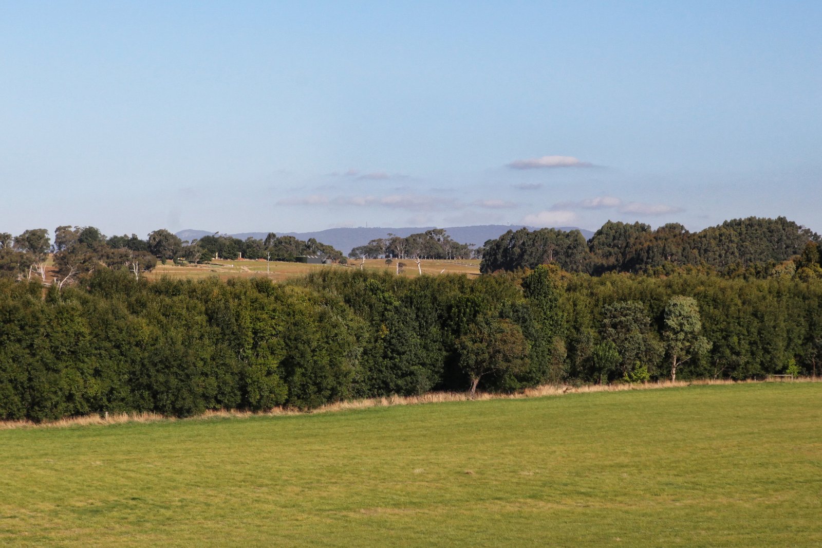 Real Estate and Property in 125 Cemetery Road, Tylden, VIC