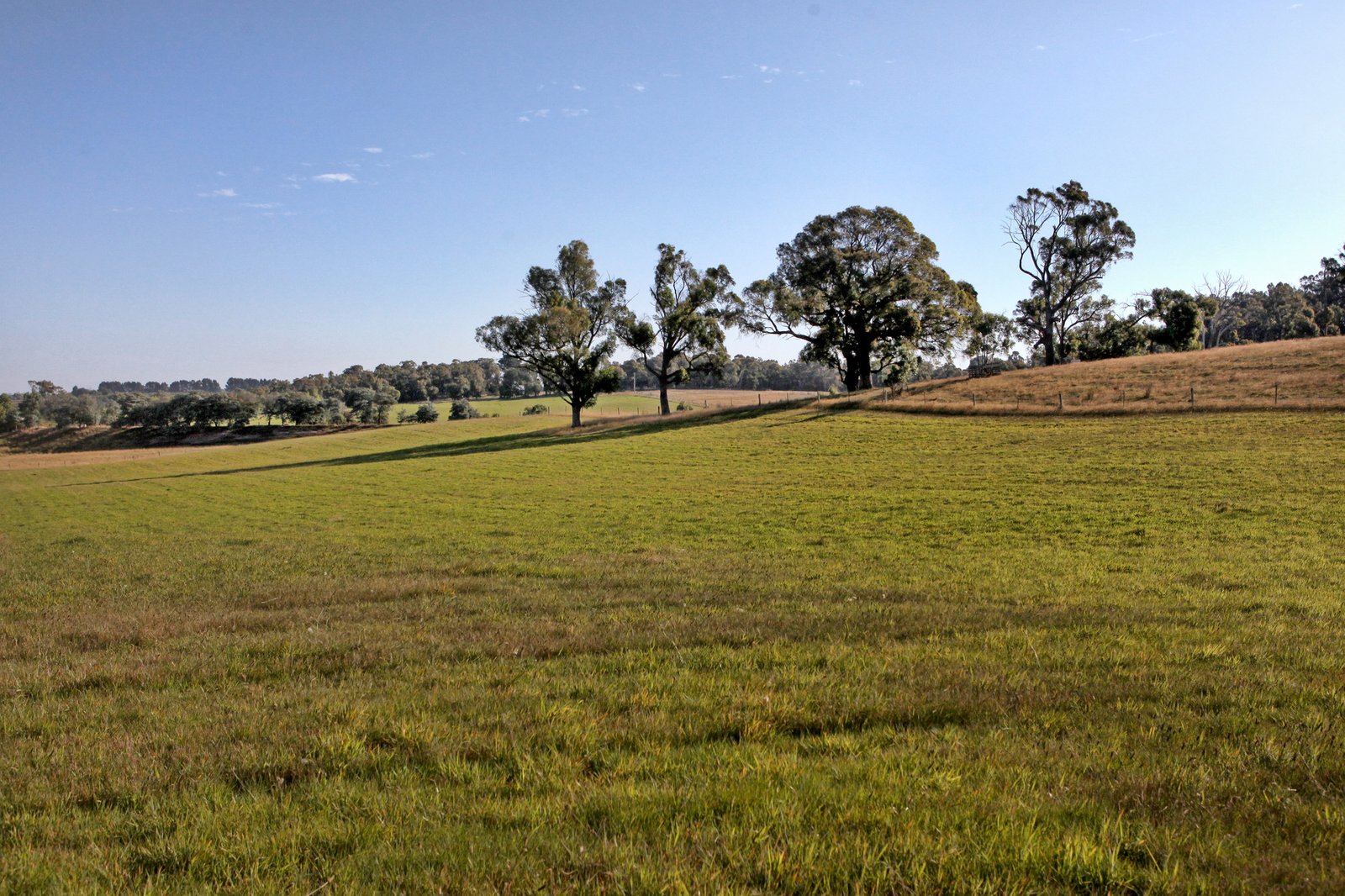 Real Estate and Property in 125 Cemetery Road, Tylden, VIC