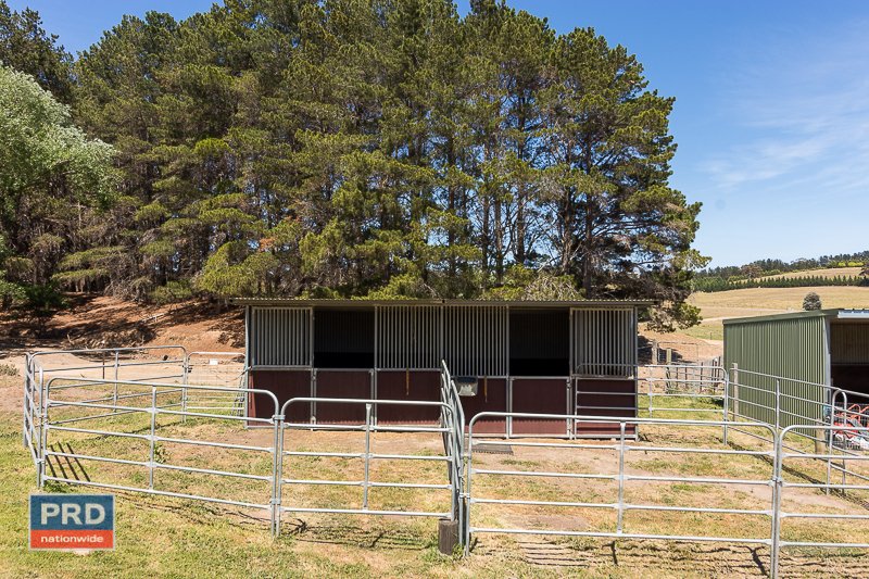 125 Clare Lane BUNGENDORE 21