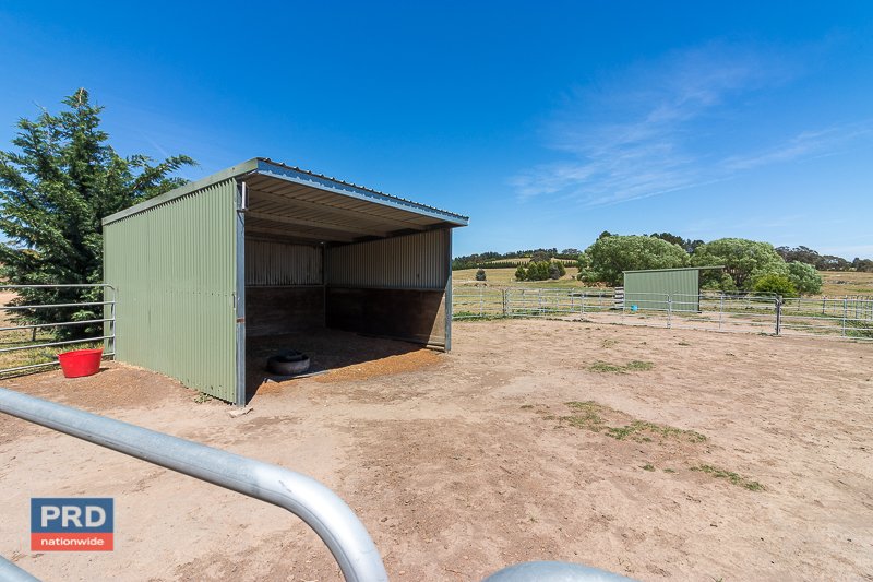 125 Clare Lane BUNGENDORE 22