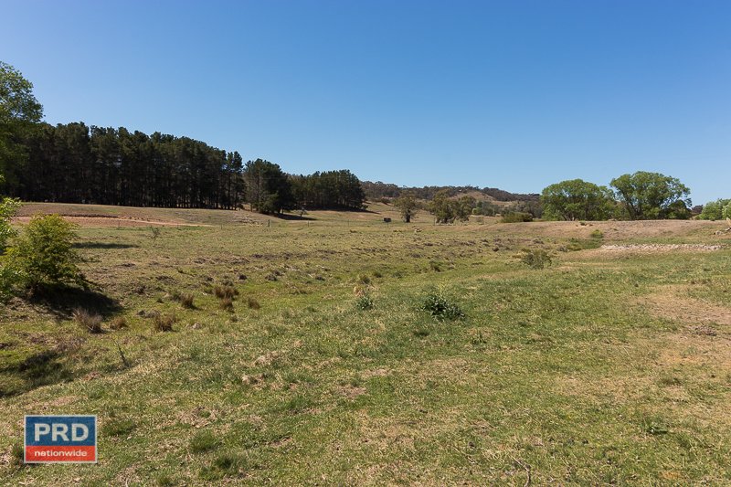 125 Clare Lane BUNGENDORE 23
