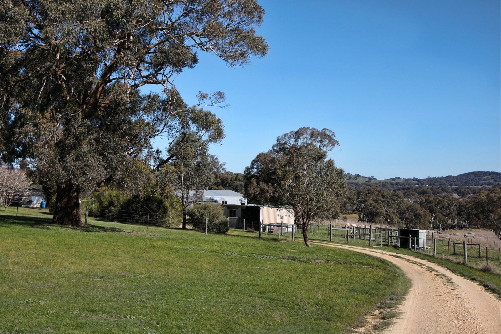 Real Estate and Property in 125 Cribbes Hill Road, Elphinstone, VIC