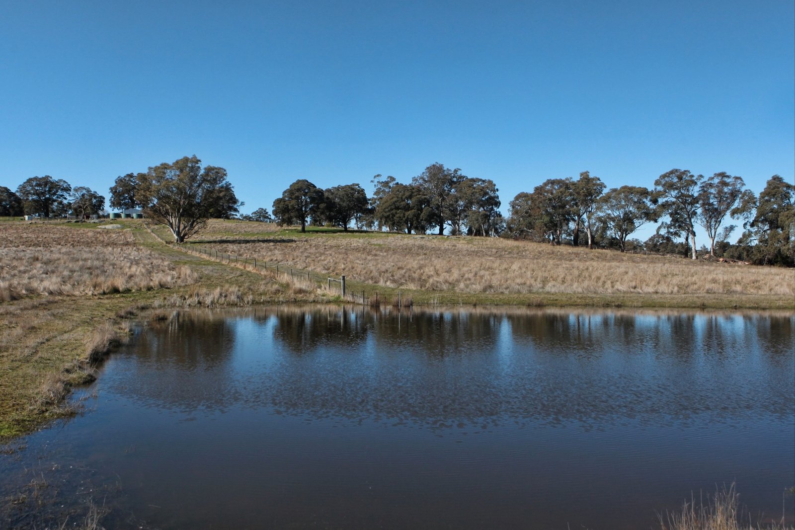 Real Estate and Property in 125 Cribbes Hill Road, Elphinstone, VIC