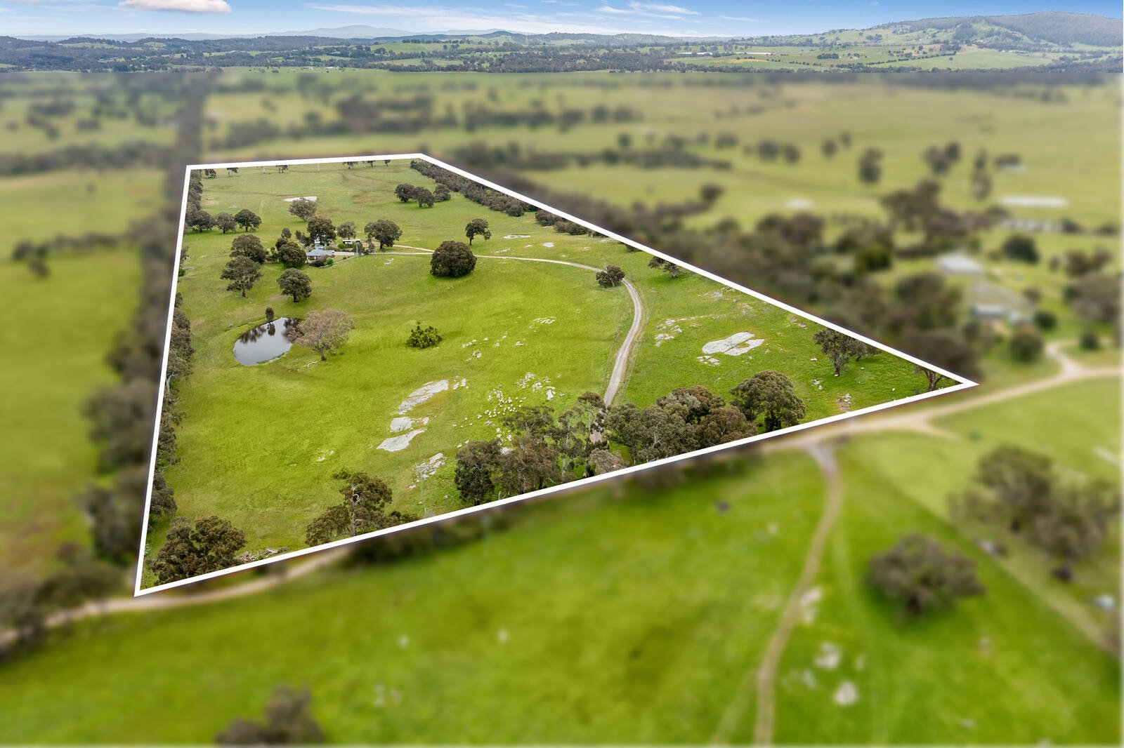 Real Estate and Property in 125 Cribbes Hill Road, Elphinstone, VIC
