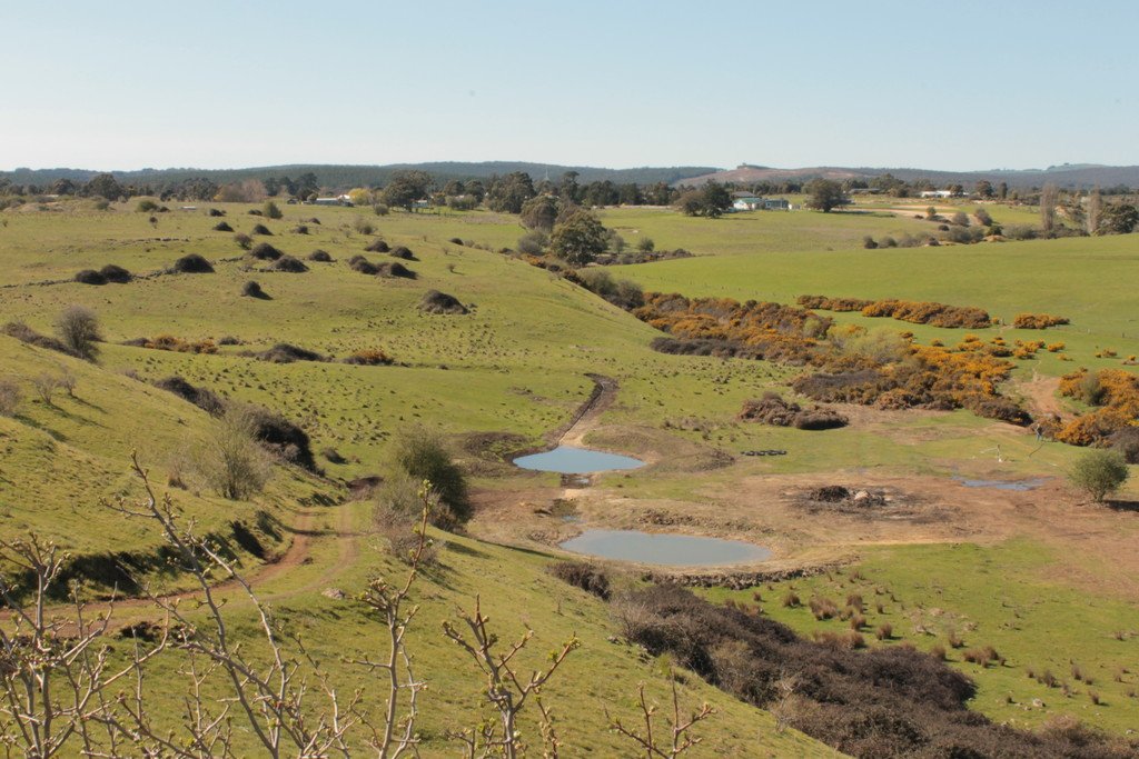 125 Four Star Road CRESWICK 2