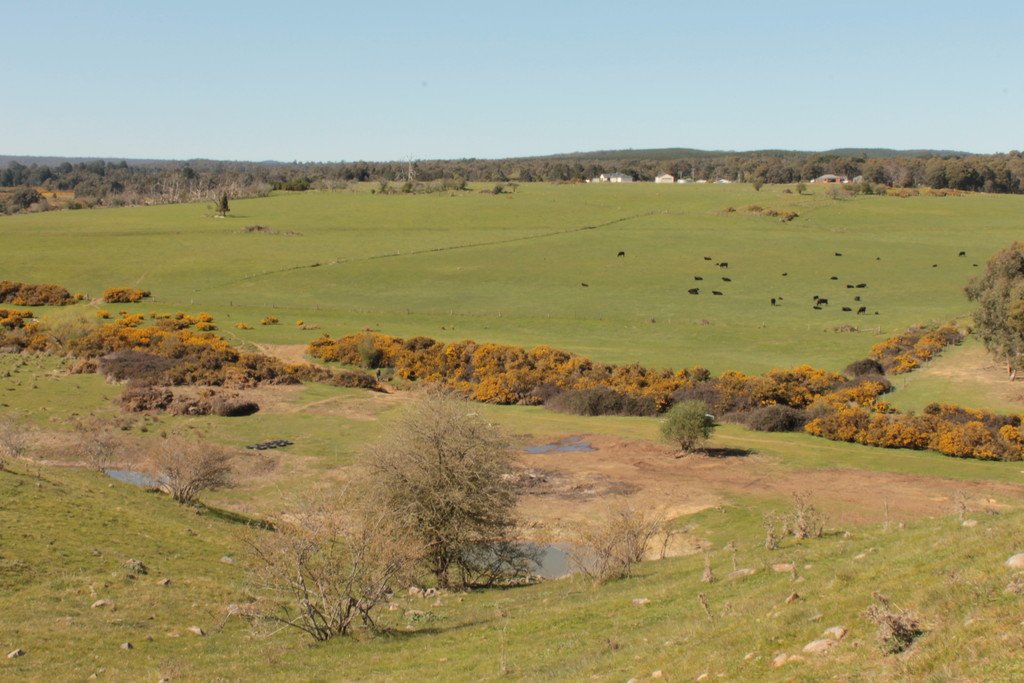 125 Four Star Road CRESWICK 6