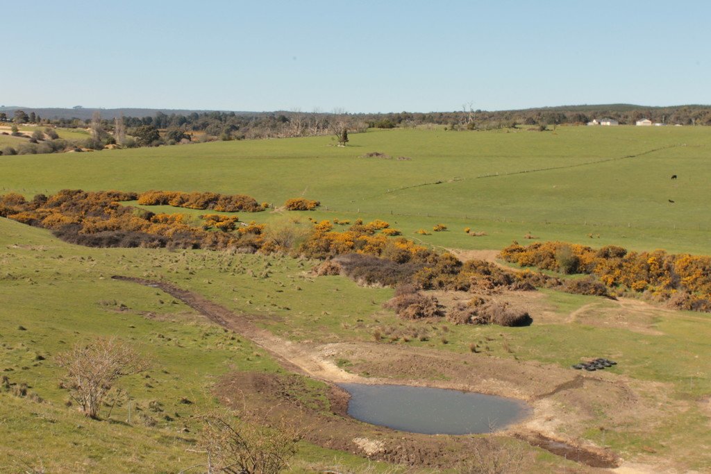 125 Four Star Road CRESWICK 10