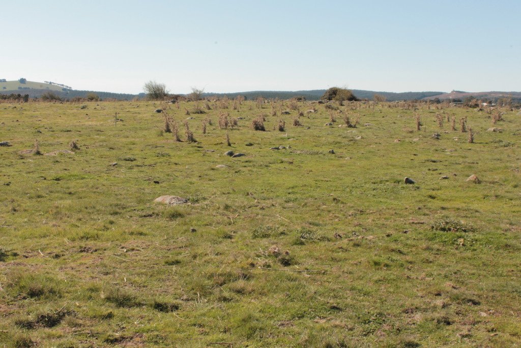 125 Four Star Road CRESWICK 12