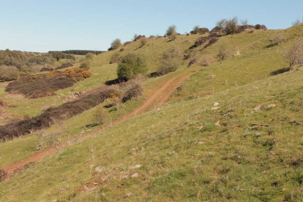 125 Four Star Road CRESWICK 14