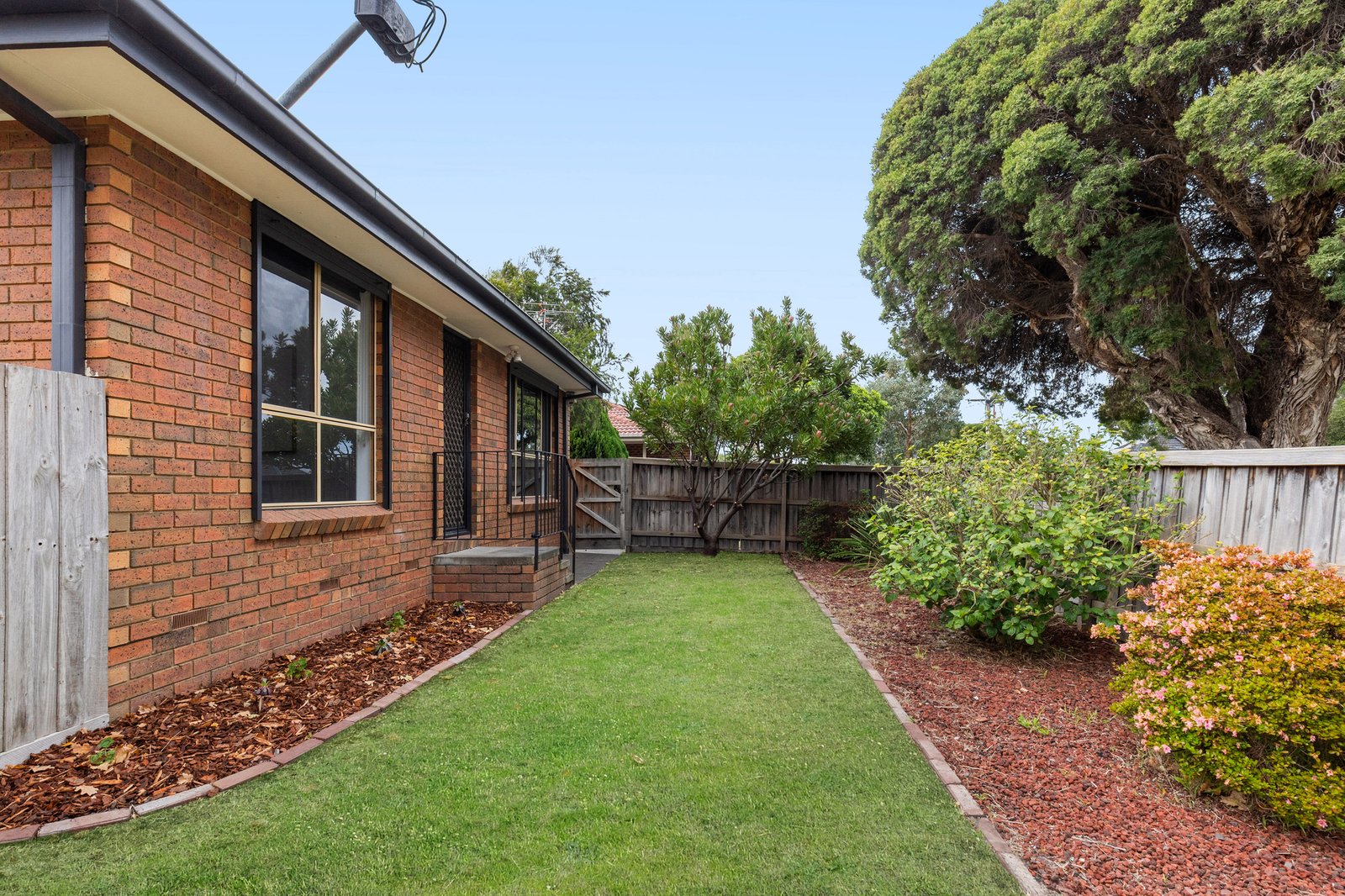 Gallery: 1/25 Knox Street