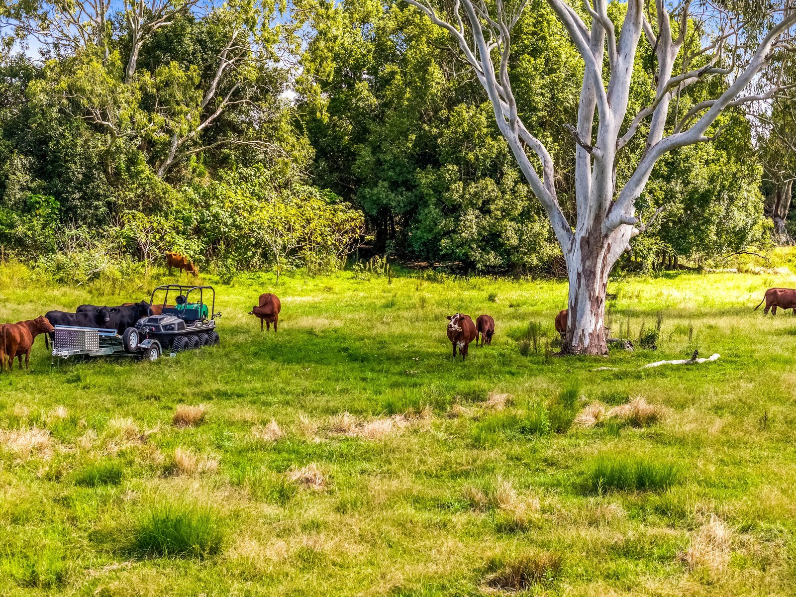 125 River Bank Road WYRALLAH 29