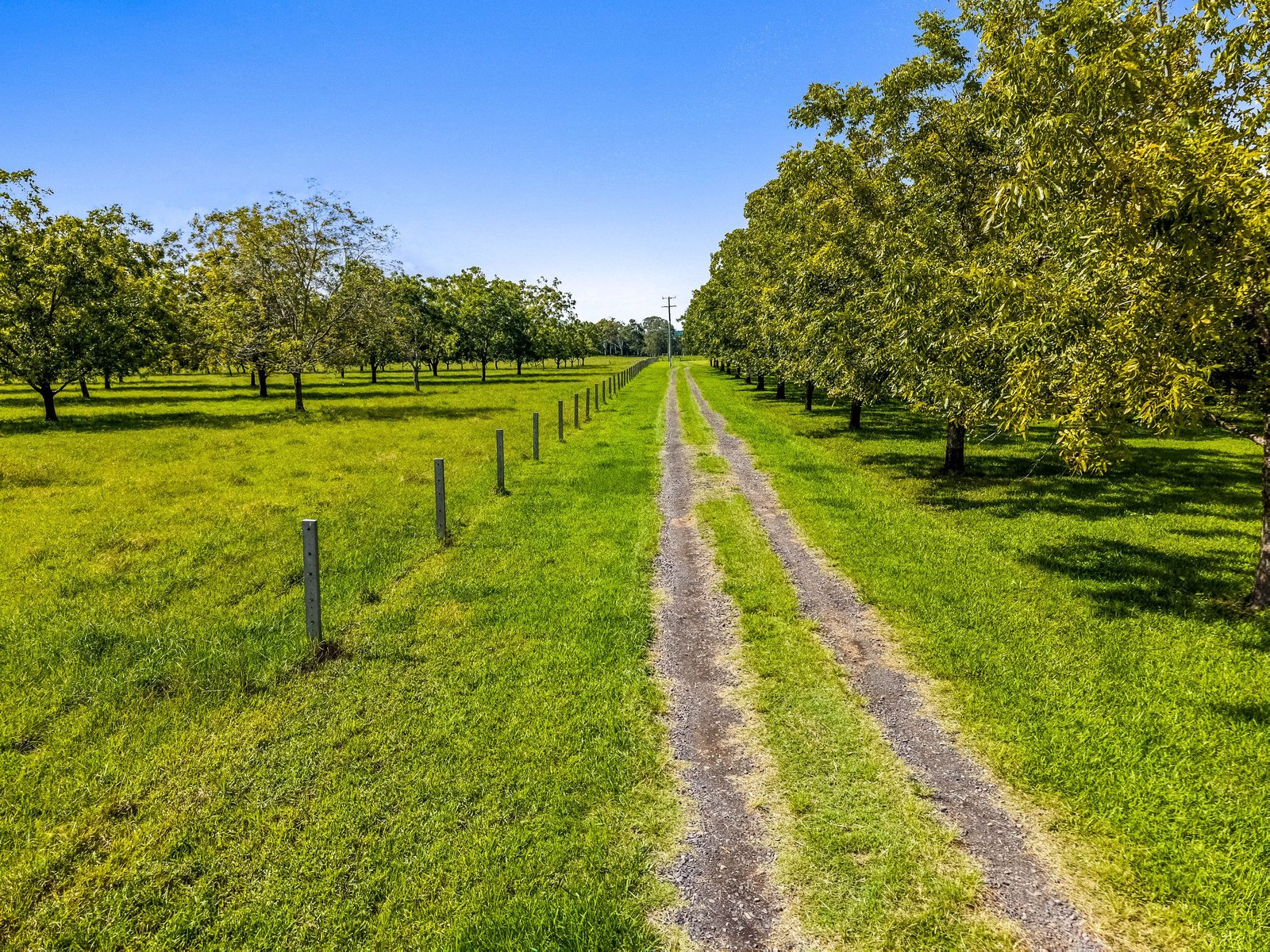 125 River Bank Road WYRALLAH 33