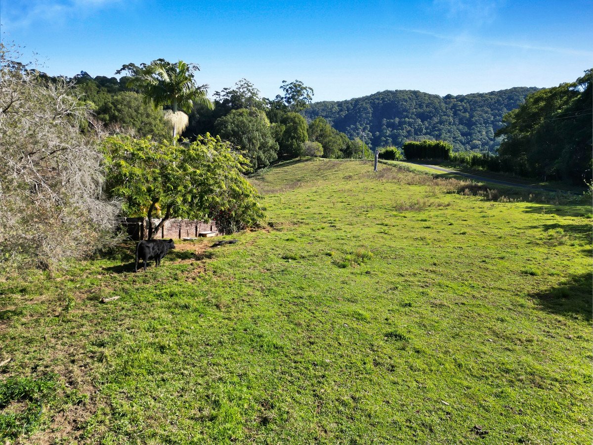 1250 Currumbin Creek Road Currumbin Valley 12