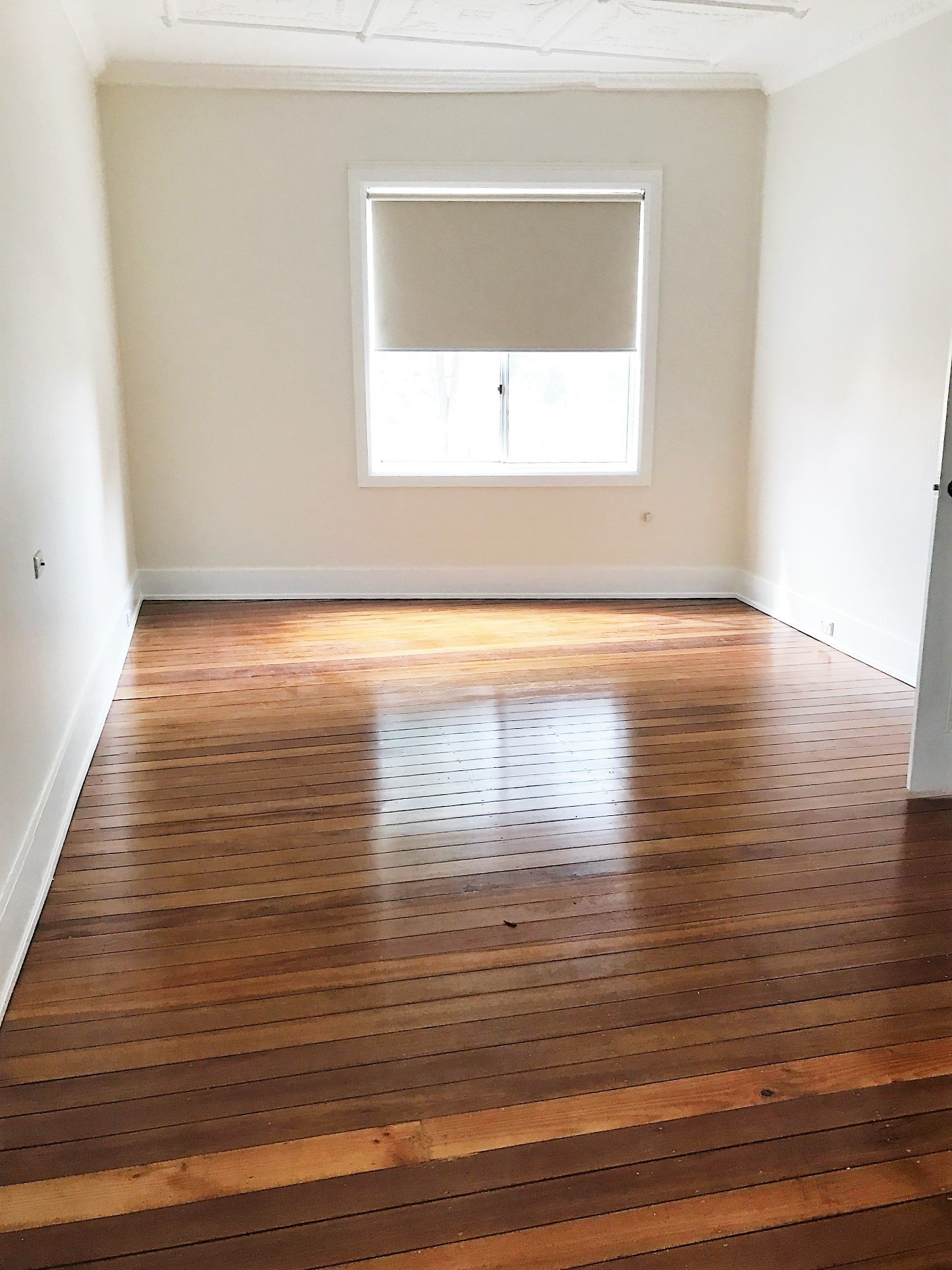 1250A Canterbury Road ROSELANDS 2