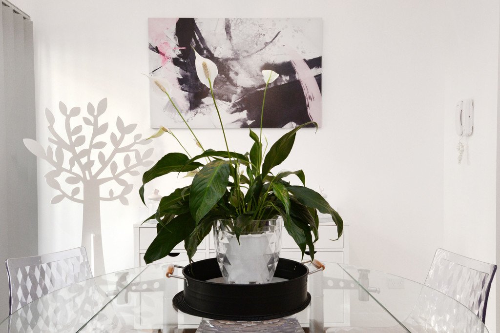 12/552 Bunnerong Rd  MATRAVILLE 5