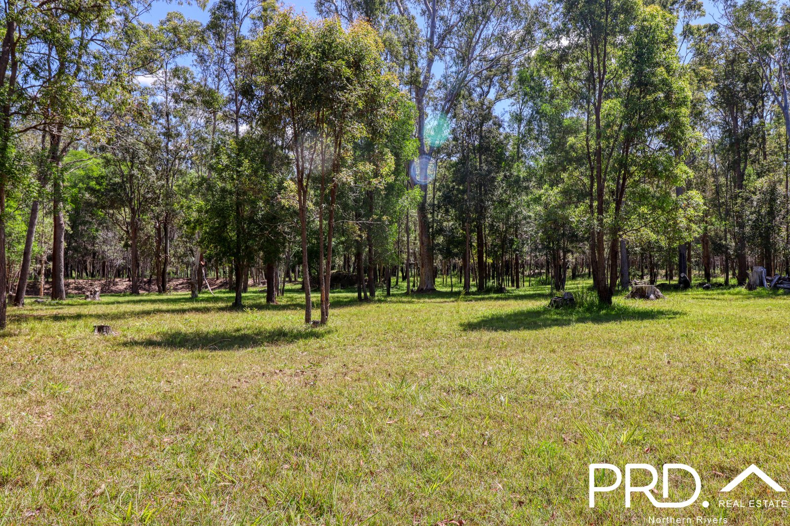 1256 Bungawalbin-Whiporie Road BUNGAWALBIN 19