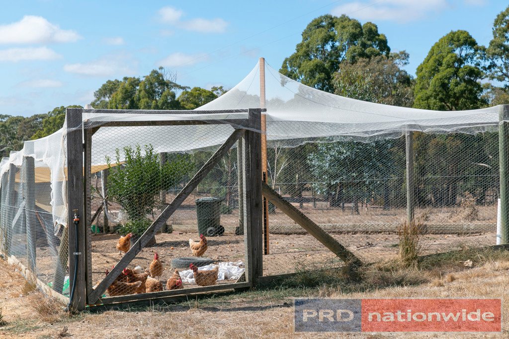 126 Baldwins Road TRAWALLA 16