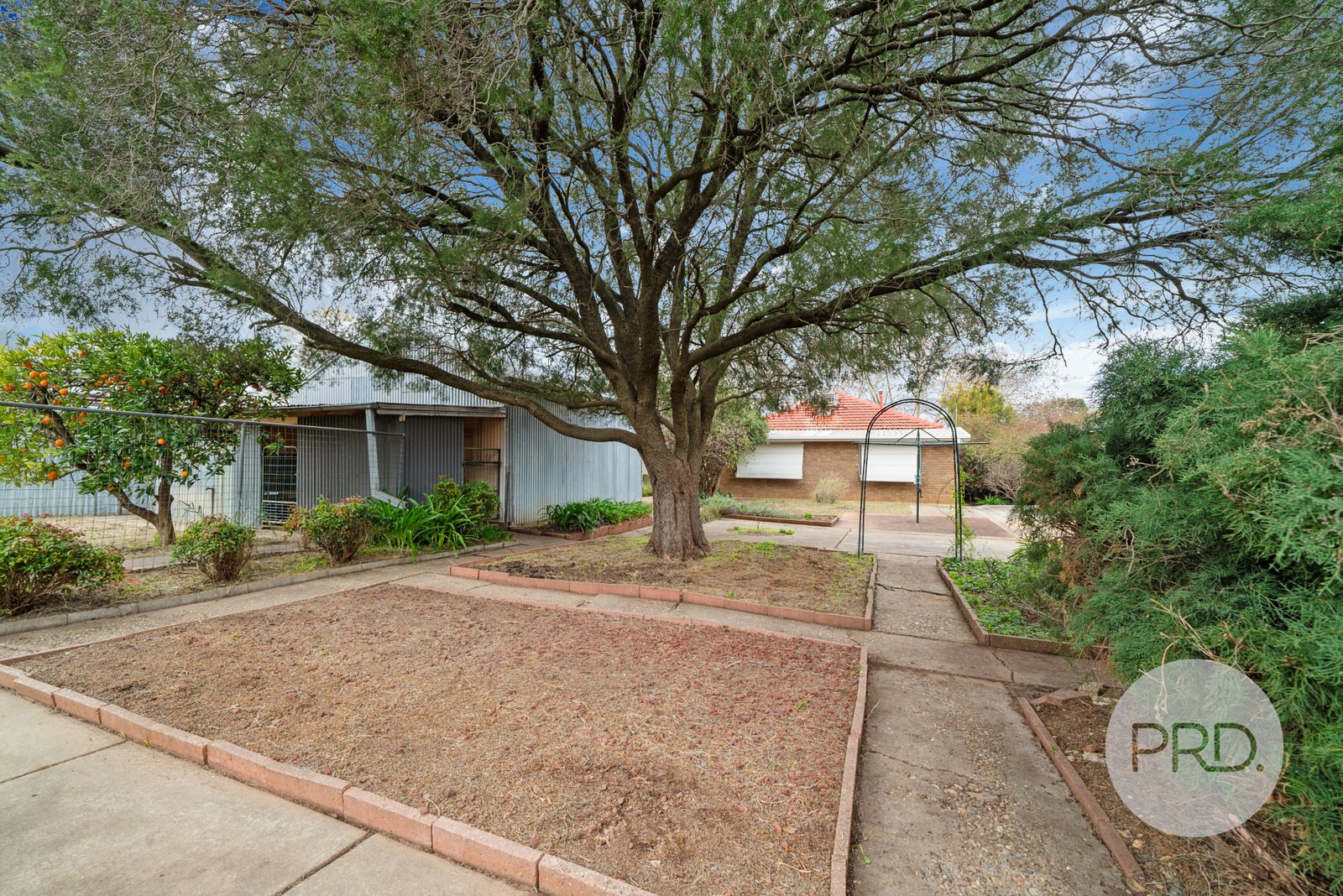 126 Grove Street KOORINGAL 10