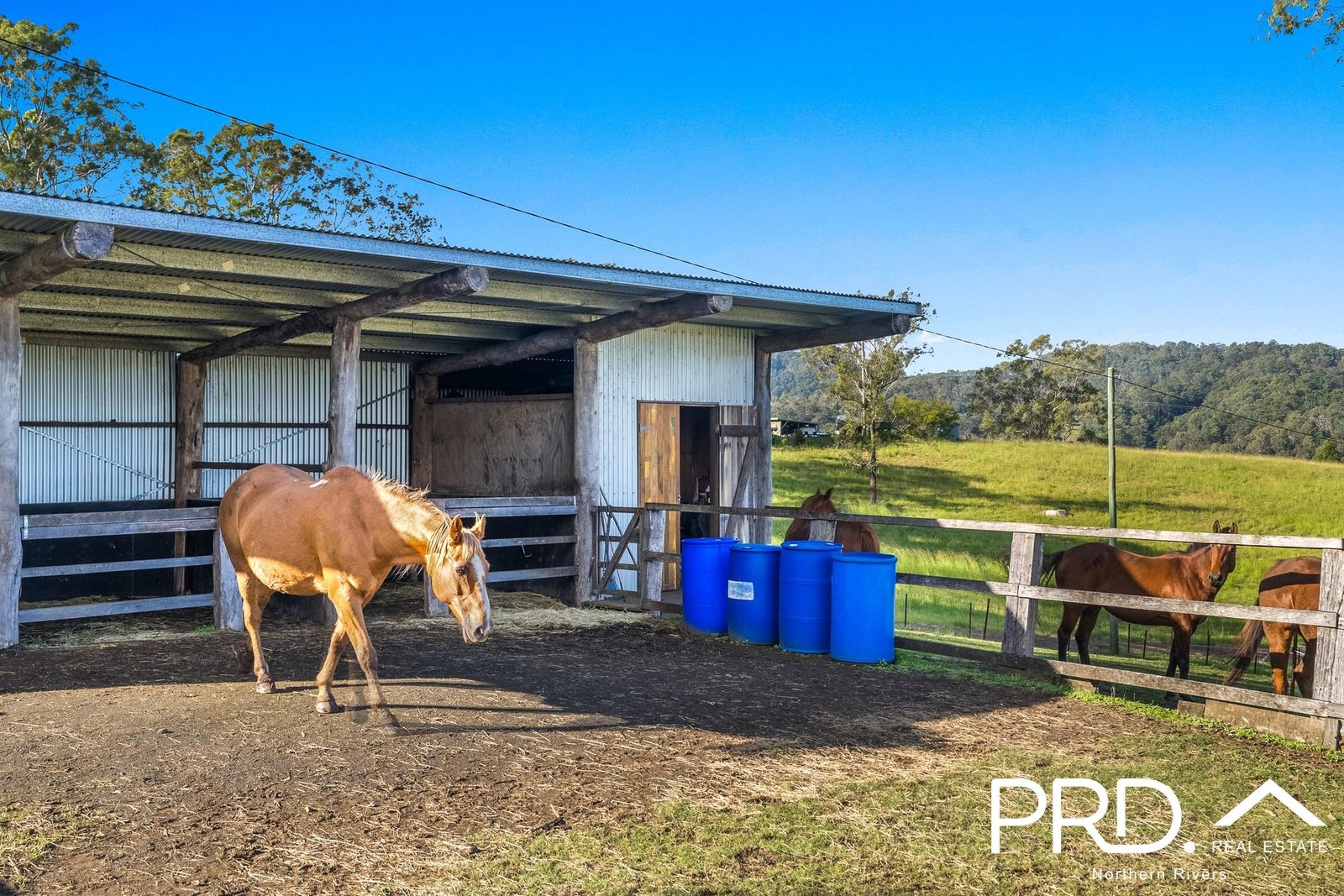 126 Homeleigh Road KYOGLE 24