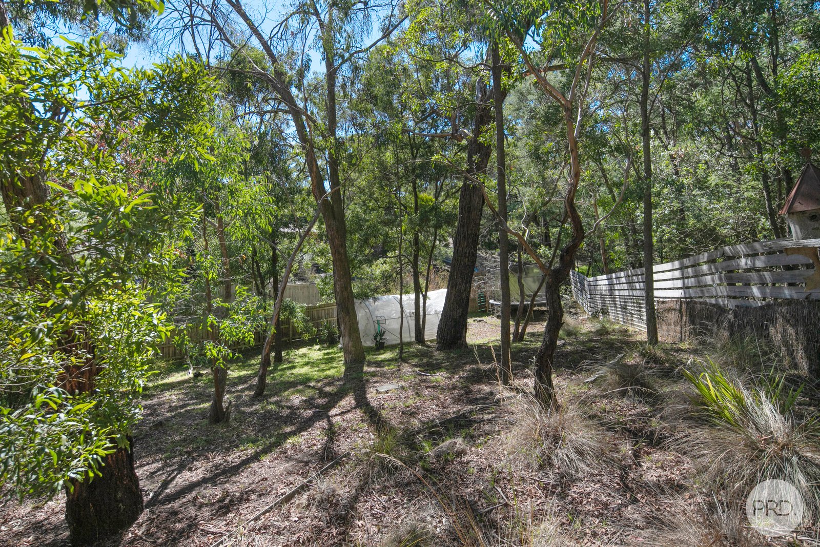 126 Moss Avenue MOUNT HELEN 17