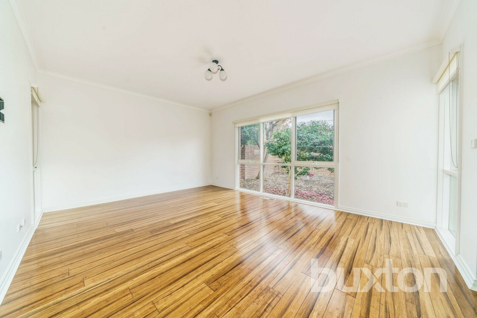 Gallery: 1/26 Renown Street