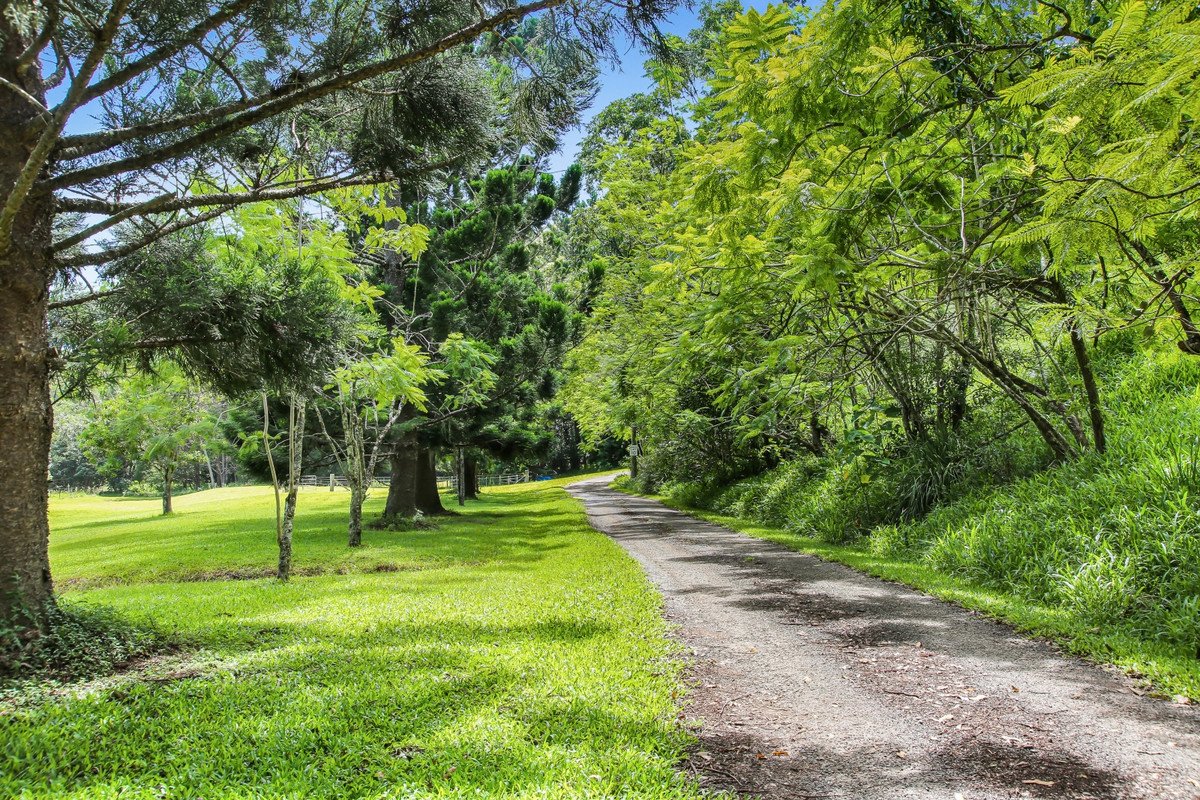 1263 Currumbin Creek Road Currumbin Valley 12
