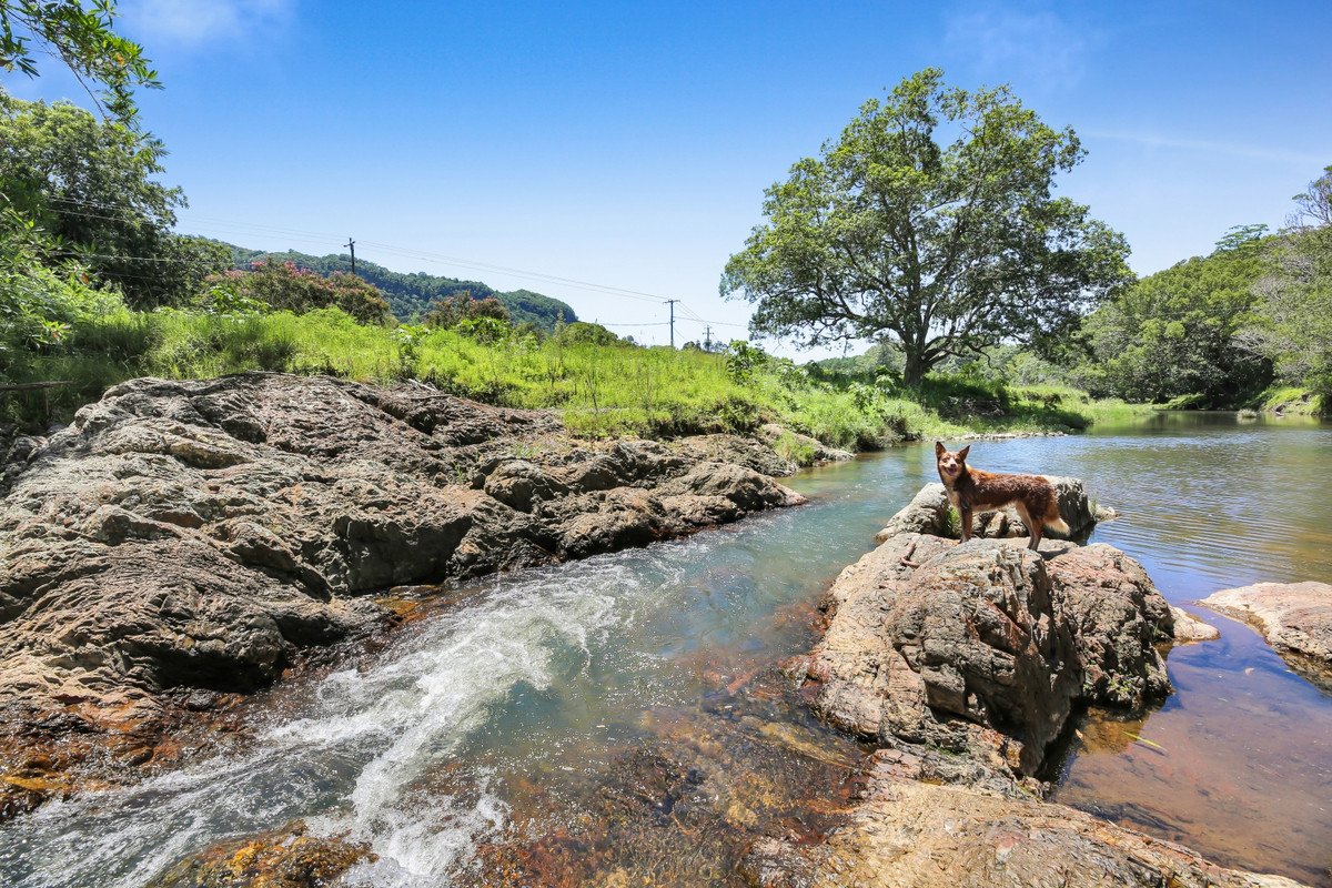 1263 Currumbin Creek Road Currumbin Valley 5
