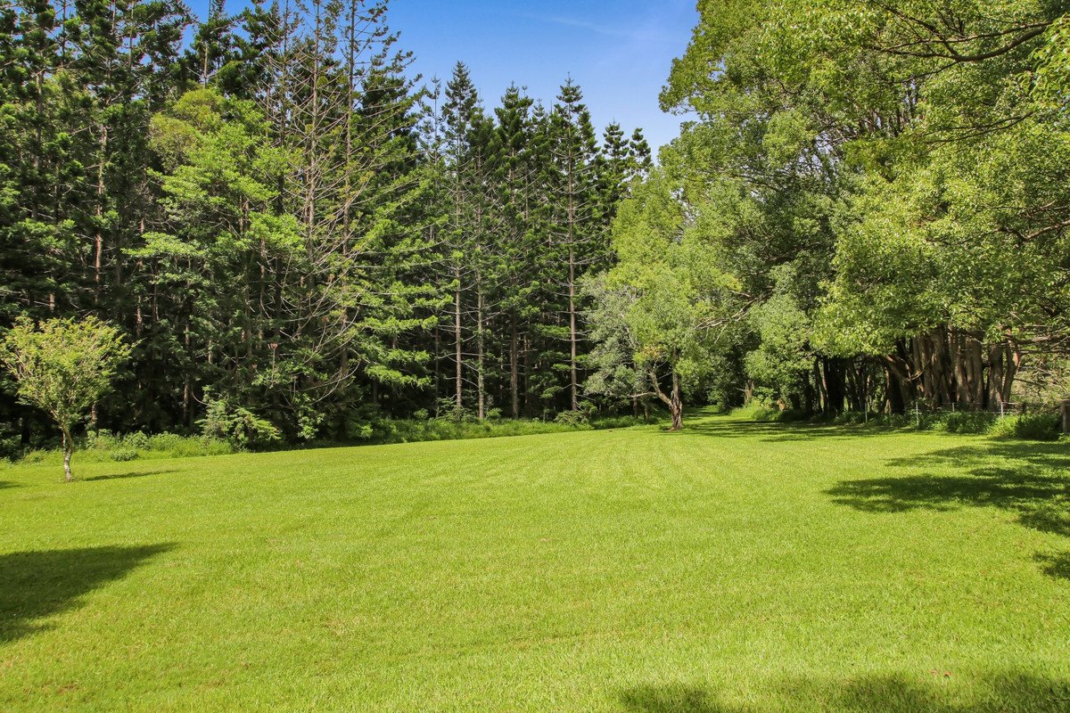 1263 Currumbin Creek Road Currumbin Valley 10
