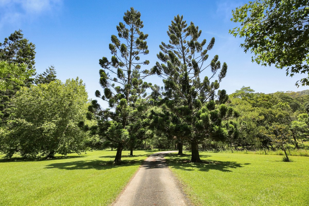 1263 Currumbin Creek Road Currumbin Valley 13