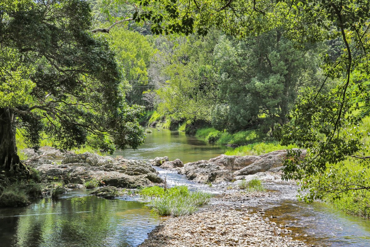 1263 Currumbin Creek Road Currumbin Valley 16