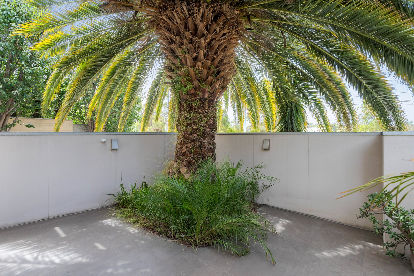 Real Estate and Property in 1/269 Balaclava Road, Caulfield North, VIC