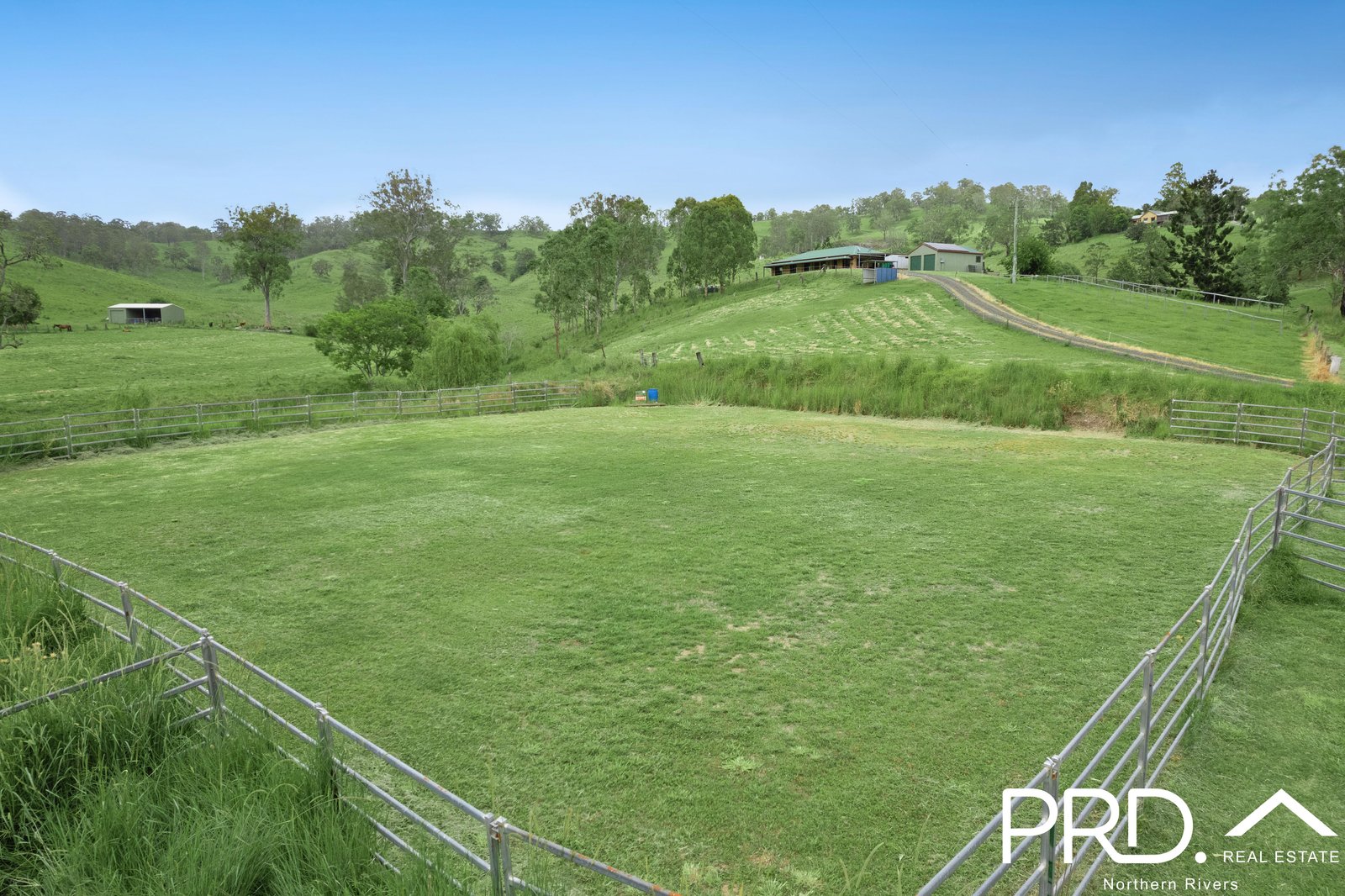 127 Apple Gum Road WYNEDEN 10