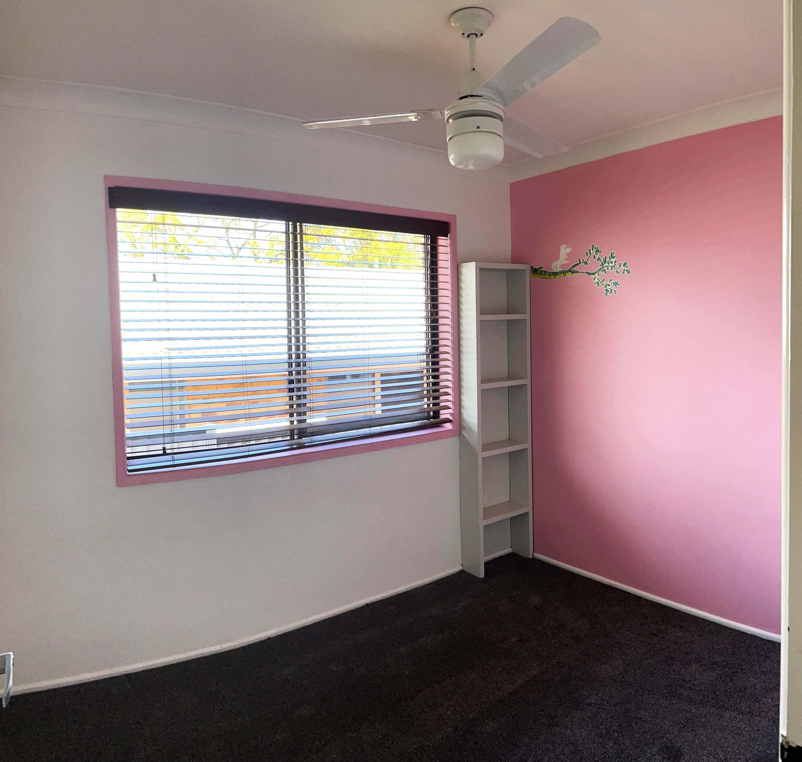 127 CANE Street REDLAND BAY 5