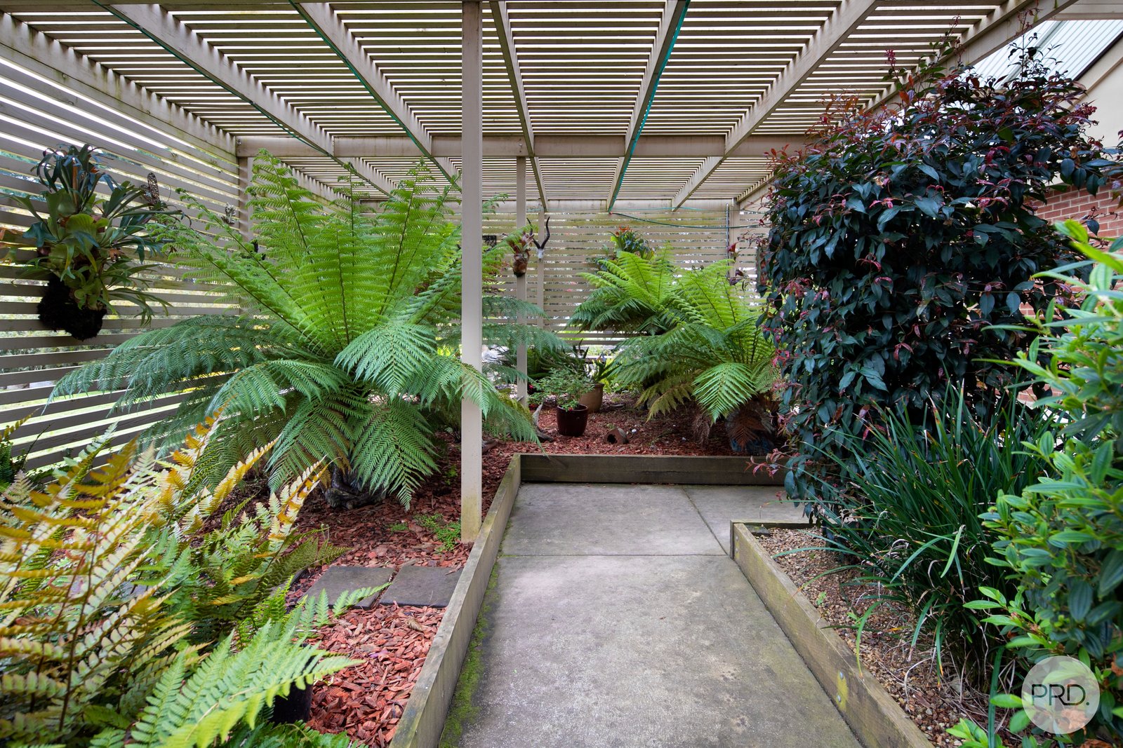 127 Hopetoun Road MITCHELL PARK 19