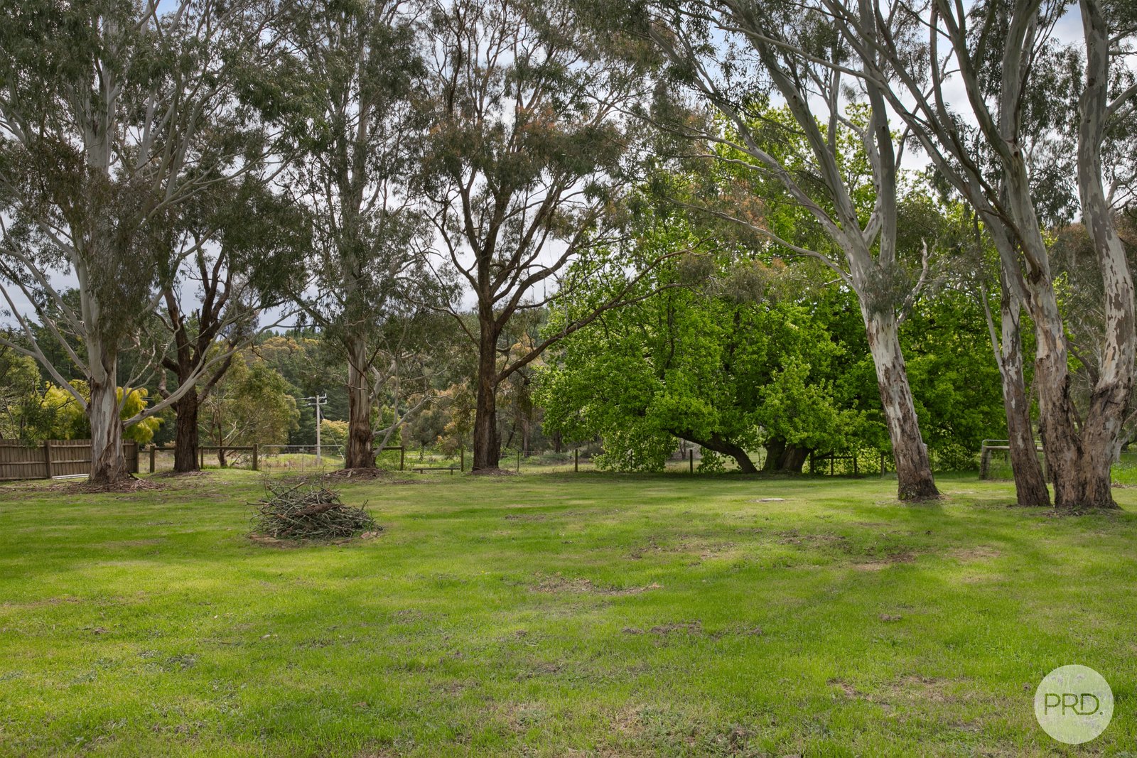 127 Lofven Street NERRINA 14