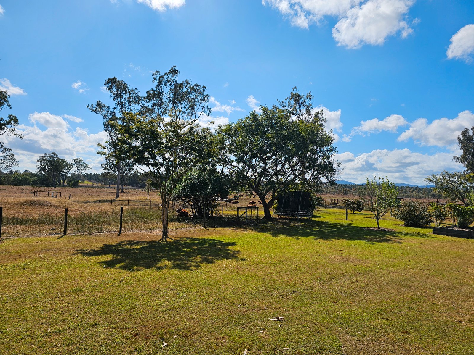 127 Scotts Road BOROREN 20