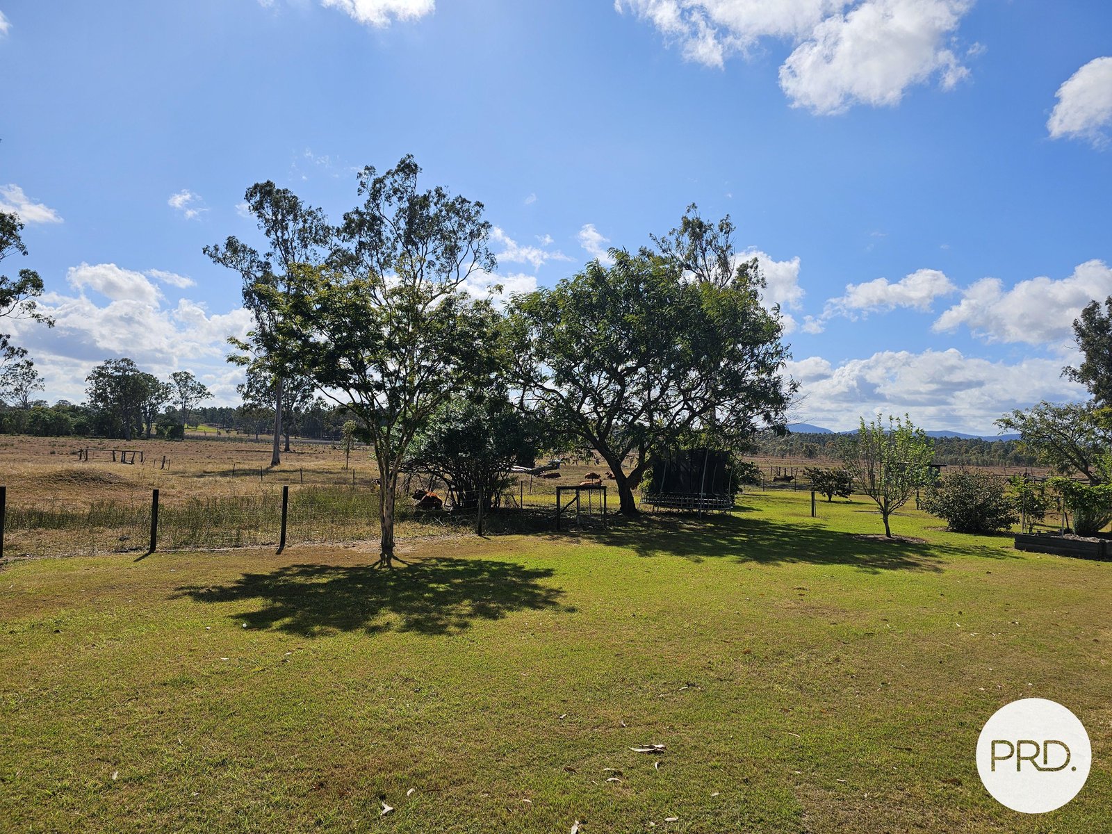 127 Scotts Road BOROREN 19