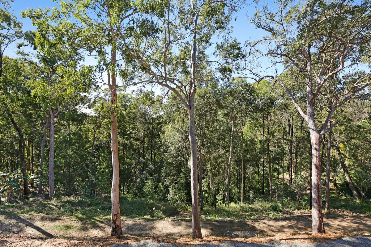 128 Nancol Drive Tallebudgera Valley 11