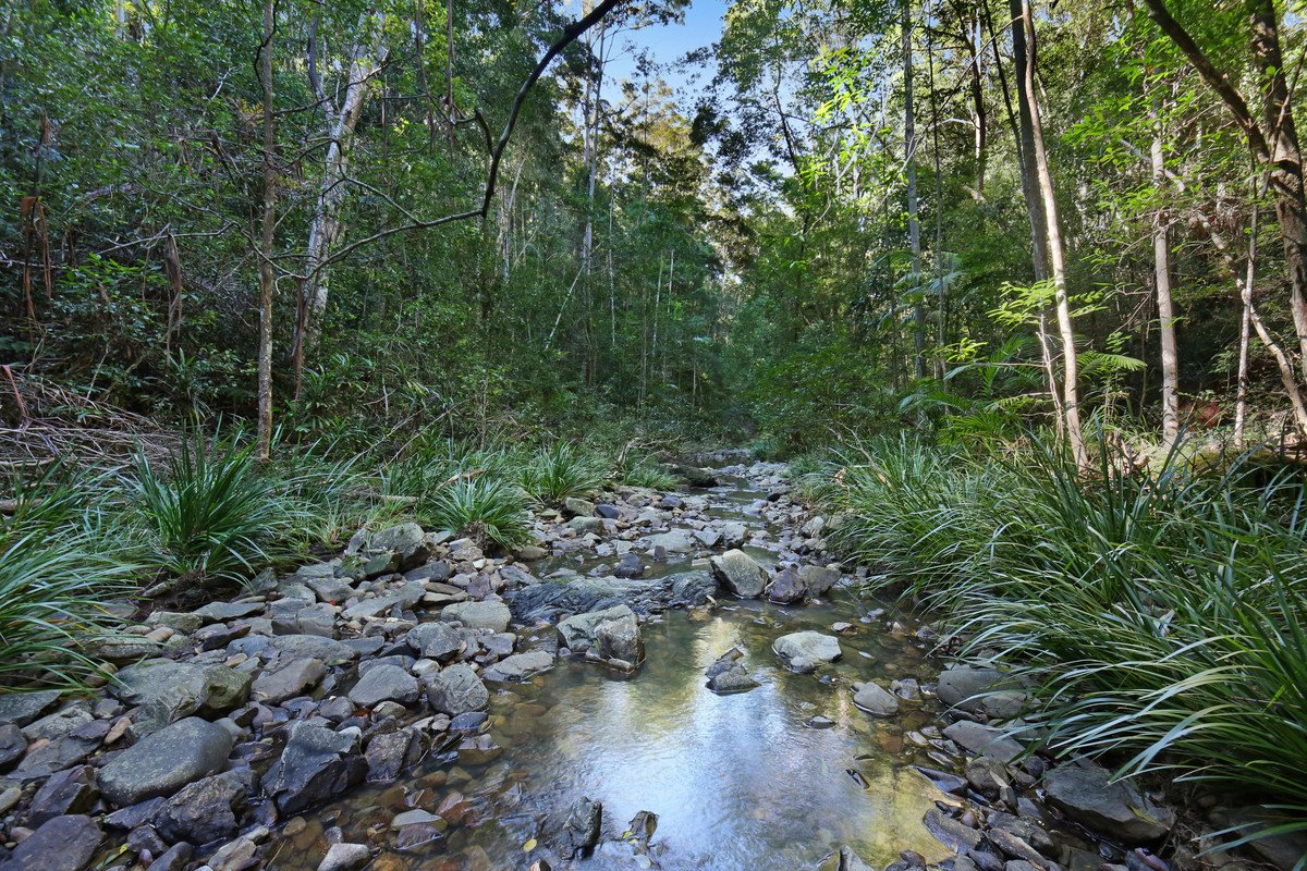 128 Nancol Drive Tallebudgera Valley 25