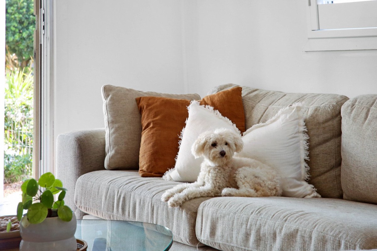 1/28 Twenty Fifth Avenue Palm Beach 7