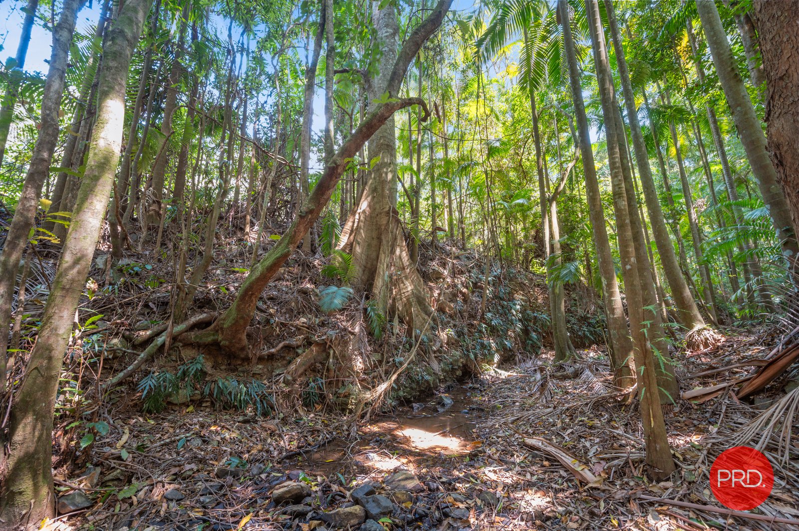 128G Friday Creek Road UPPER ORARA 30