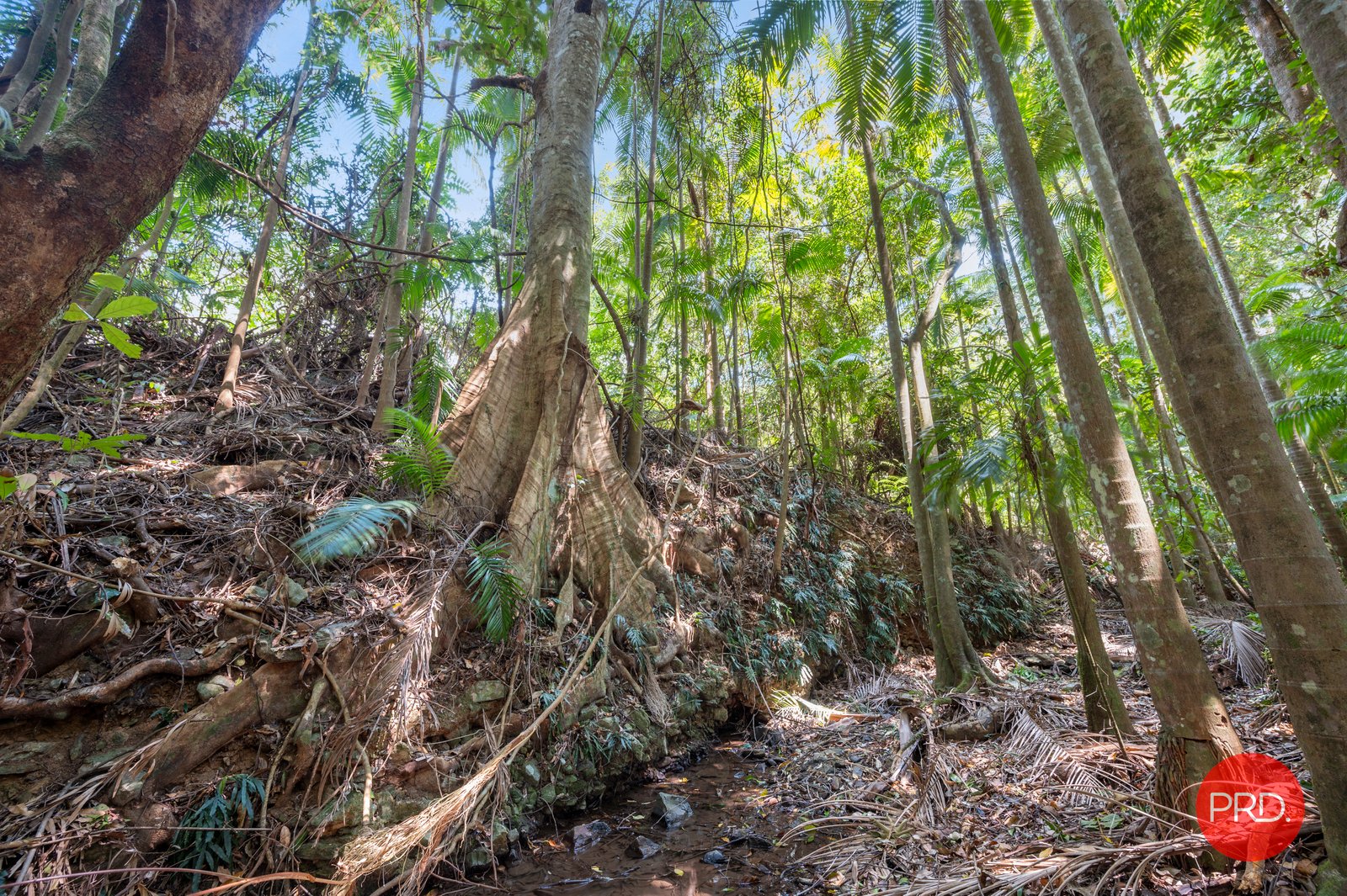 128G Friday Creek Road UPPER ORARA 31