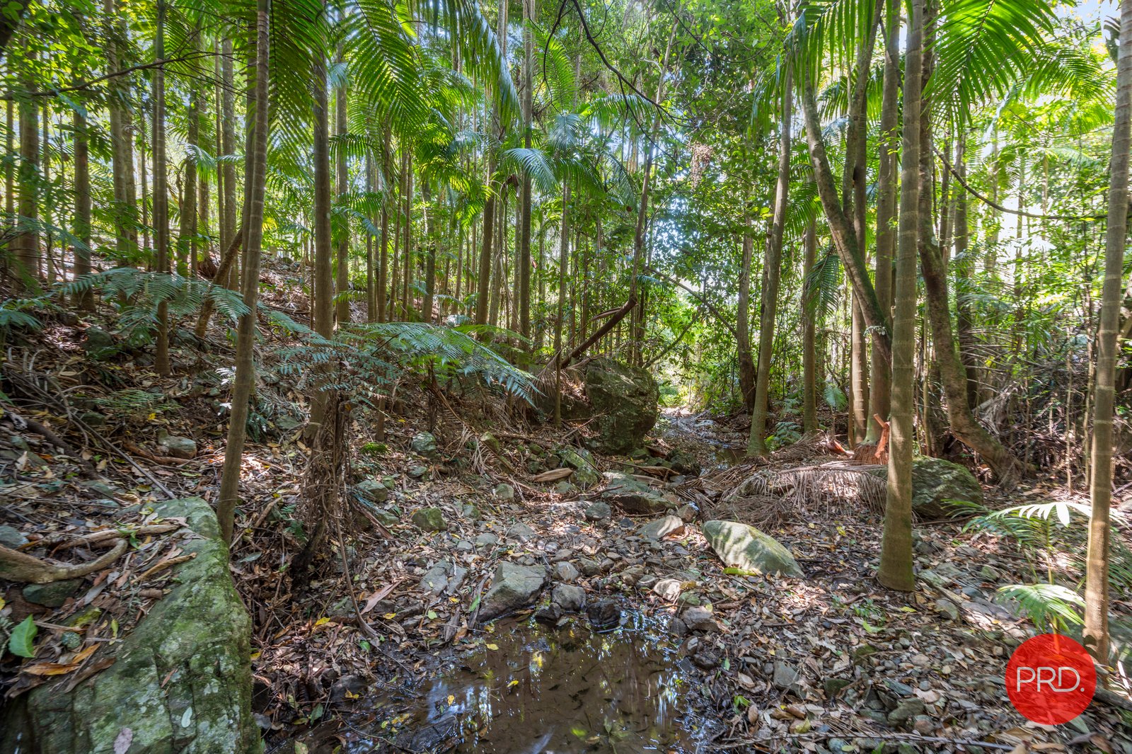 128G Friday Creek Road UPPER ORARA 32