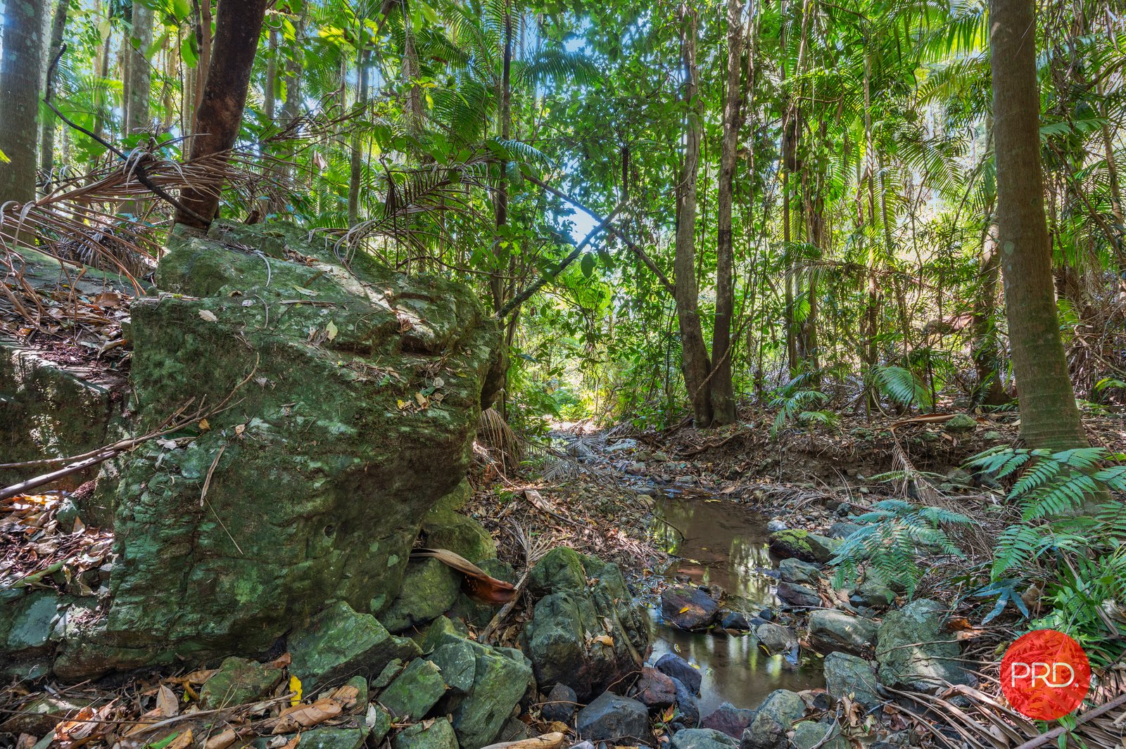 128G Friday Creek Road UPPER ORARA 33