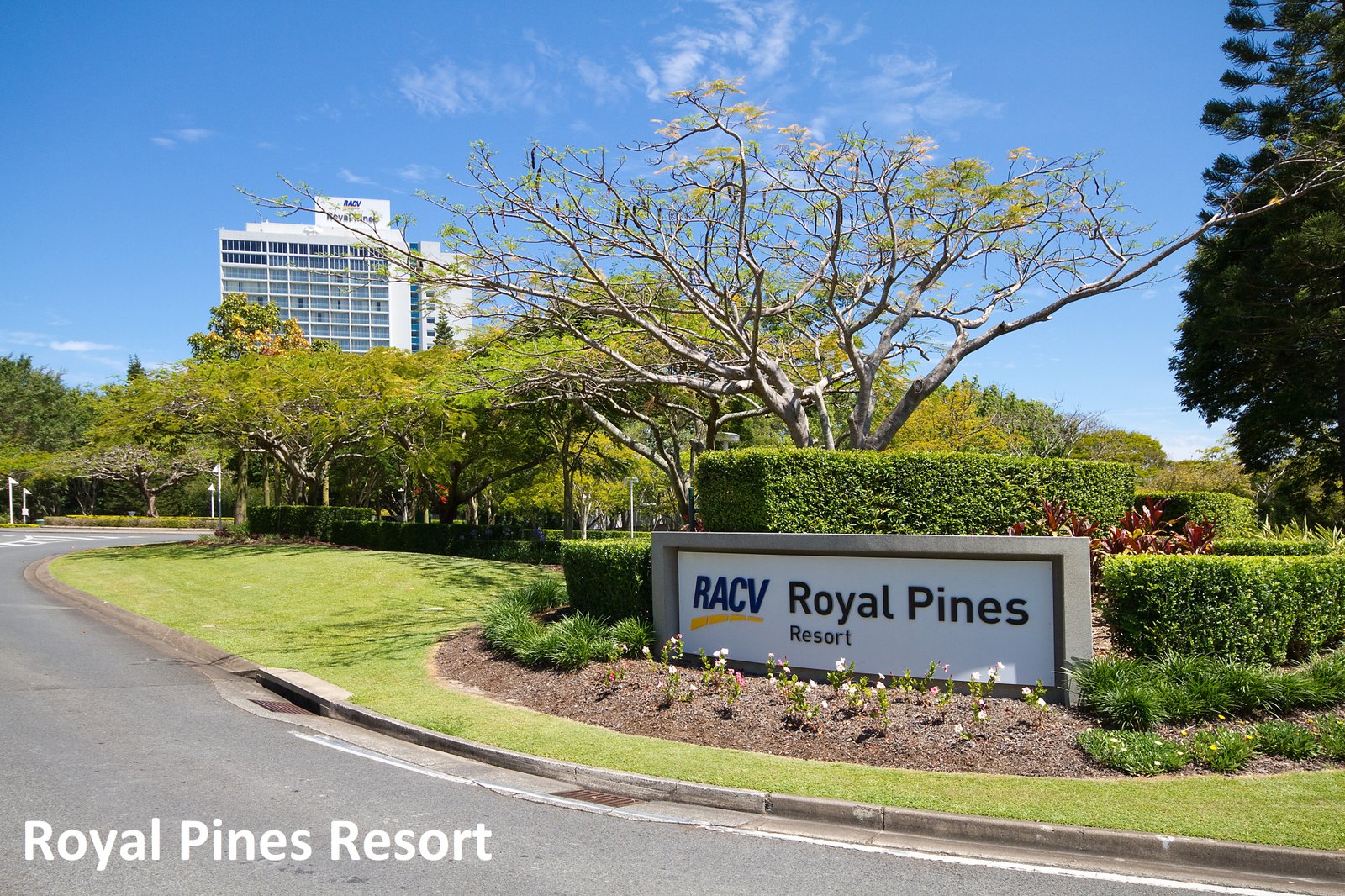 1/29-31 Golden Palms Court ASHMORE 26