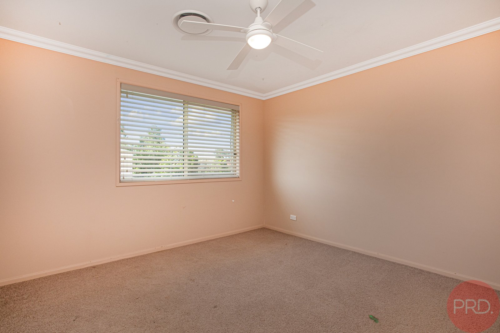 129 Avery Street RUTHERFORD 15